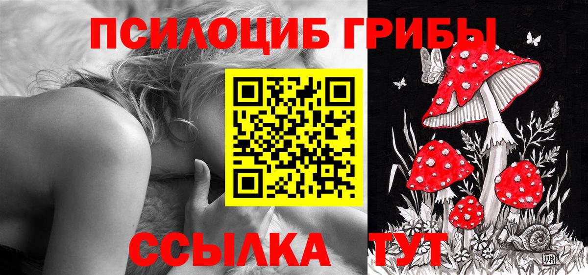 Псилоцибиновые грибы MAGIC MUSHROOMS Ревда