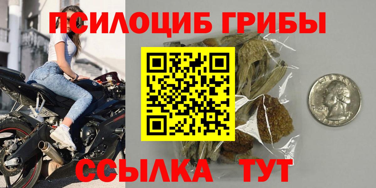 Псилоцибиновые грибы GOLDEN TEACHER  Вход с VPN  Ревда 